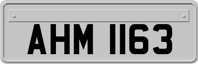 AHM1163