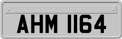 AHM1164