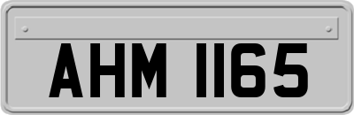 AHM1165