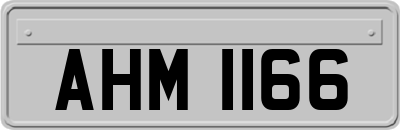AHM1166