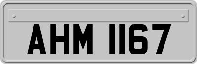 AHM1167