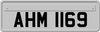 AHM1169