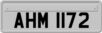 AHM1172
