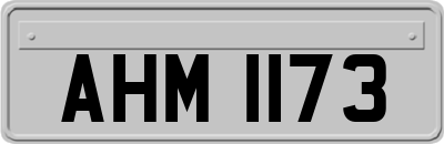 AHM1173
