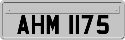 AHM1175