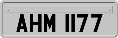 AHM1177
