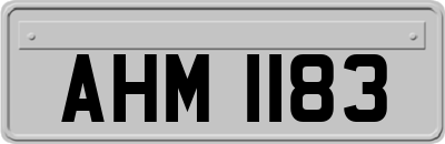 AHM1183