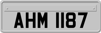 AHM1187