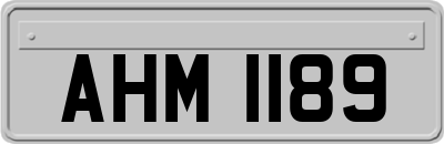 AHM1189