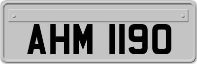AHM1190