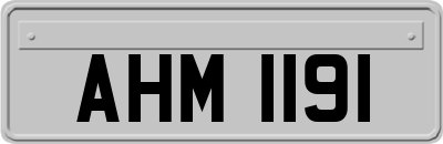 AHM1191