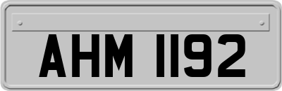 AHM1192