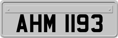 AHM1193