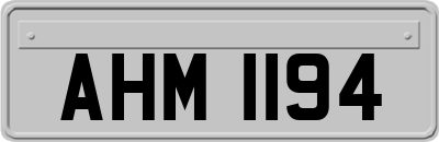 AHM1194