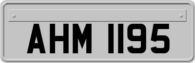 AHM1195