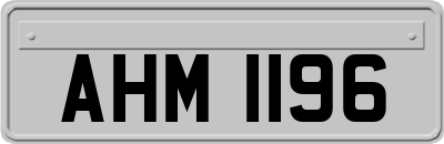 AHM1196