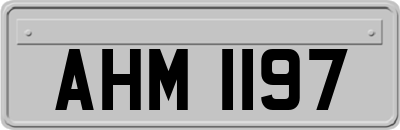 AHM1197