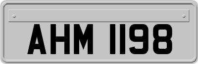 AHM1198