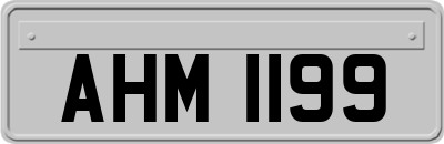 AHM1199