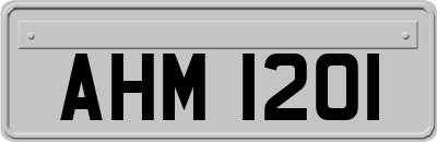 AHM1201