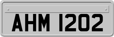 AHM1202