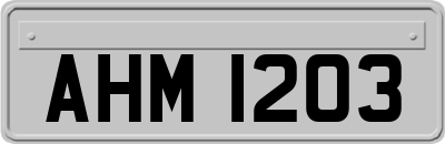 AHM1203