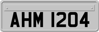 AHM1204