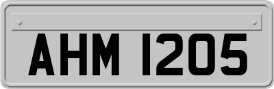 AHM1205