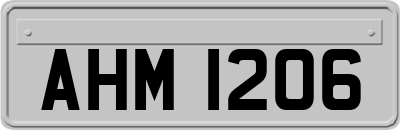 AHM1206