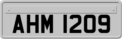AHM1209