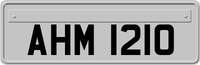 AHM1210