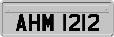 AHM1212