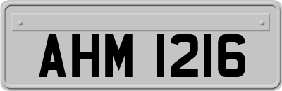 AHM1216
