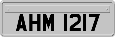 AHM1217
