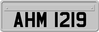 AHM1219