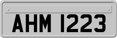 AHM1223
