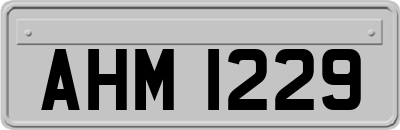 AHM1229