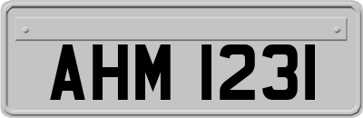 AHM1231