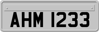 AHM1233