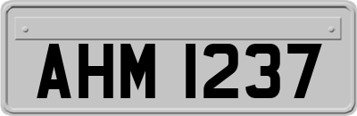 AHM1237