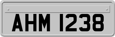 AHM1238