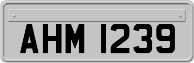 AHM1239