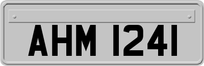 AHM1241