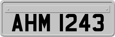AHM1243
