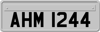 AHM1244
