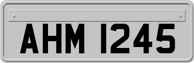 AHM1245
