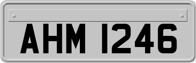 AHM1246