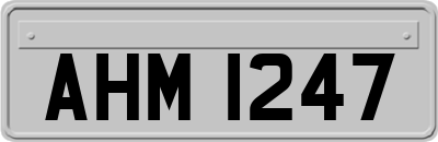 AHM1247