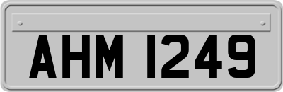 AHM1249