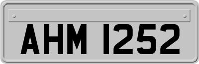 AHM1252